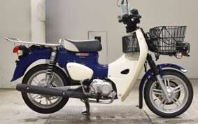 HONDA C110 SUPER CUB 2010 JA61