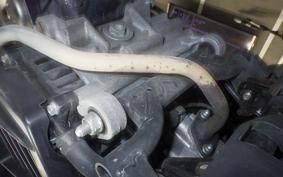 HONDA TACT-4ﾍﾞｰｼｯｸ AF79