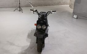HONDA ZUMAR AF58