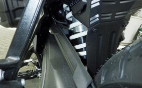 BMW R1300GS 2024