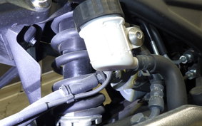 YAMAHA MT-25 A 1999 RG43J