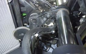 KAWASAKI NINJA 250 ABS 2023 EX250L