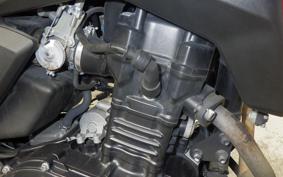 SUZUKI V-STROM 250