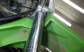 KAWASAKI KLX110 L 2024 LX110D