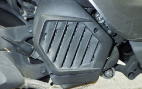 HONDA TACT Basket 2024 AF75