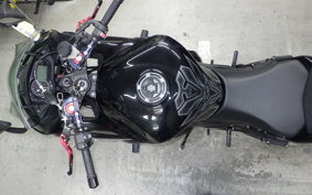 KAWASAKI NINJA 1000 2013