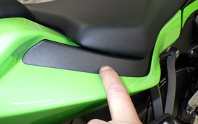 KAWASAKI NINJA ZX-6R A 2025 ZX636J