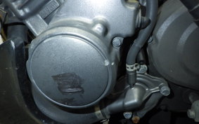 HONDA HORNET 250 2025 MC31