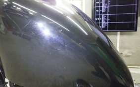 OTHER UNREGISTERED MODEL by BDS250 1990