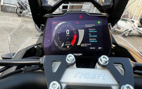 TRIUMPH TIGER 1200 RALLY PRO 2024 TAP20V
