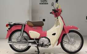 HONDA C110 SUPER CUB JA44