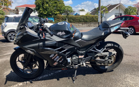 KAWASAKI NINJA 250 EX250L