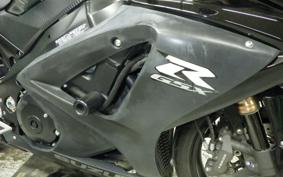 SUZUKI GSX-R1000 2010