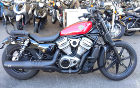 HARLEY  HARLEY RH975 NIGHT  STAR  2023 ZH1