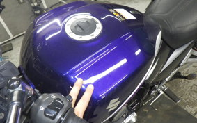 SUZUKI GSX1400 2008 GY71A