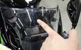 KAWASAKI NINJA ZX-6R A 2025 ZX636J
