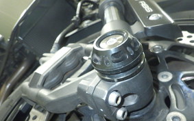 KAWASAKI Z1000 Gen.5 2017 ZXT00W