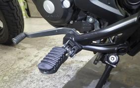 HONDA REBEL 250 2008 MC49