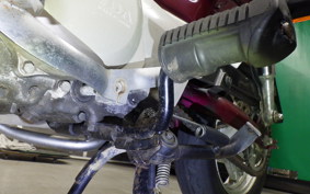 HONDA CHALY 50 2023 CF50
