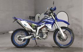 YAMAHA WR250R DG15J