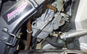 KAWASAKI KLX250D TRACKER 2026 LX250E
