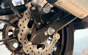 BENELLI RE ON CHI-NO250