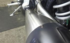 TRIUMPH SPEED TWIN 2024