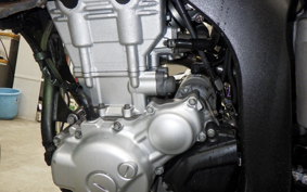 YAMAHA WR250X DG15J