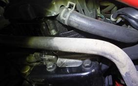 HONDA ZOOMER 2024 AF58