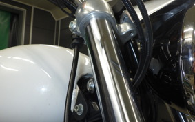 HARLEY XL883LI 2015