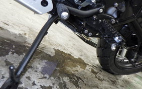 TRIUMPH SCRAMBLER 900 2025