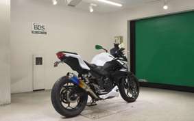 KAWASAKI Z250 ER250C