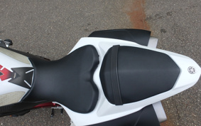 YAMAHA YZF-R1 2009 RN24J