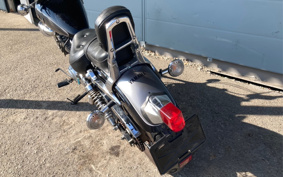 YAMAHA VIRAGO 250 3DM