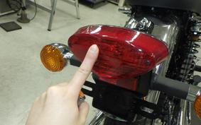 KAWASAKI W800 2025 EJ800E