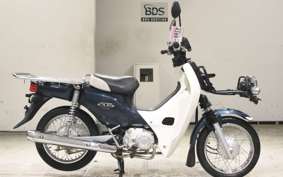 HONDA C110 SUPER CUB 2008 JA10