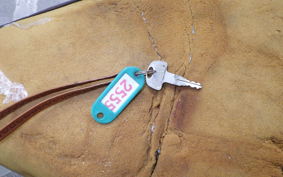 HONDA C50 SUPER CUB 2021 AA01