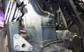 KAWASAKI KLX250D TRACKER X 2023 LX250V