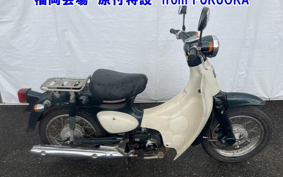 OTHER  LITTLE CUB E FI