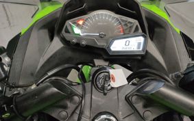 KAWASAKI NINJA 250 EX250L