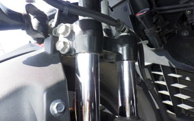 YAMAHA TRICITY 300 2020 SH15J