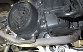 HONDA BENLY 110 JA09