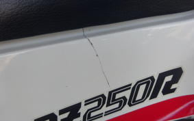 YAMAHA RZ250R 29L