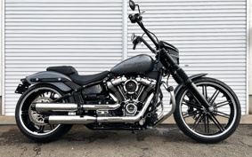 HARLEY FXBRS 2022 YHK