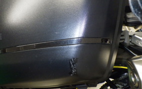 KAWASAKI NINJA 1000 A 2021