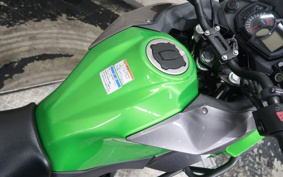 KAWASAKI VERSYS-X 250 ABS TOURER LE250D