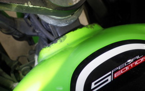 KAWASAKI NINJA 250 EX250L