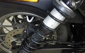 HARLEY RH975S 2024
