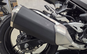 KAWASAKI NINJA 250 EX250P