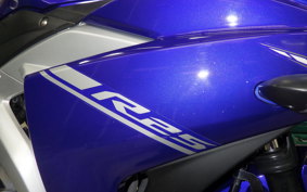 YAMAHA YZF-R25 2007 RG10J